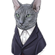 Illustration for article titled Doctor Mew returns, with War Cat and Capaldi Cat